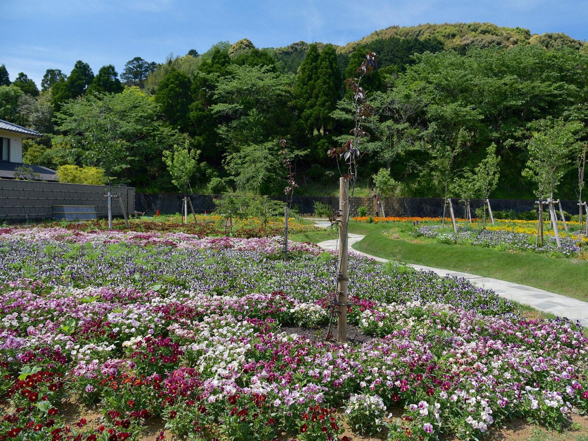 Shimoda Central Hotel Buitenkant foto
